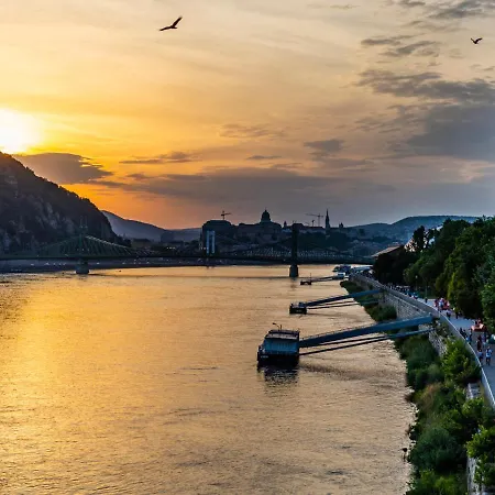 Lovely On Raday Corso *